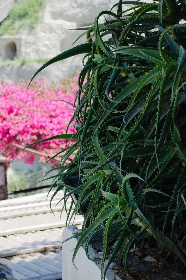 Hotel Angelino Barano d'Ischia Екстер'єр фото